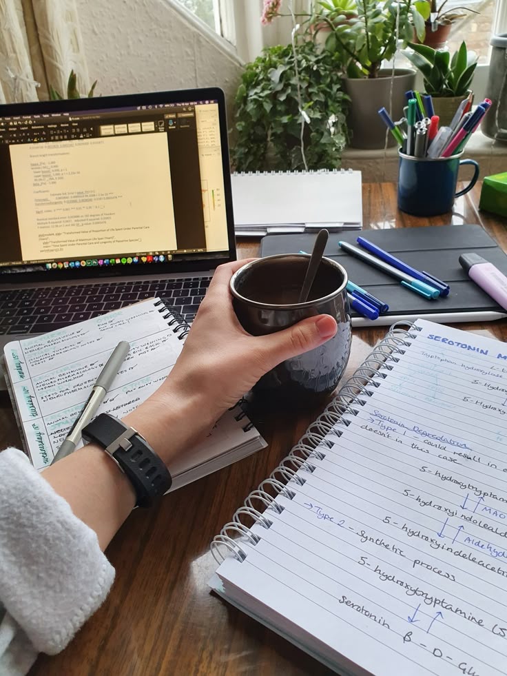Curso de Desarrollo Full-Stack